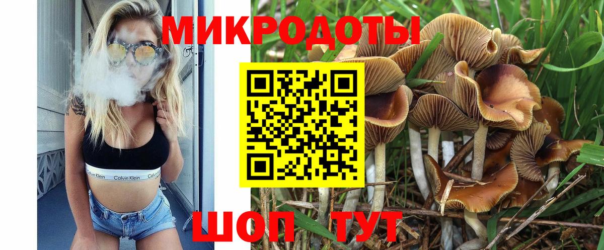 Солнечногорск  Галлюциногенные грибы Cubensis  Вход с VPN 