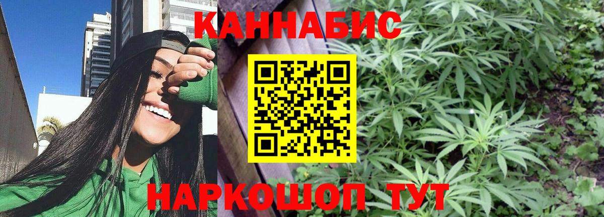 Солнечногорск  Бошки марихуана планчик  Вход с VPN  Конопля конопля 